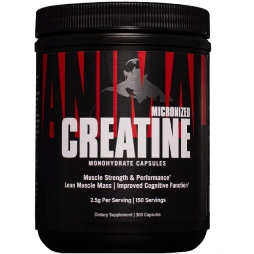 Animal - Micronized Creatine Monohydrate Capsules - 300 caps