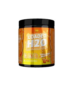 CNP - Loaded H2O