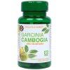 Holland & Barrett - Garcinia Cambogia + Guarana - 60 caps