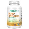 NOW Foods - BerryDophilus Kids Chewables - 120 chewables