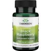 Swanson - Full Spectrum Black Raspberry
