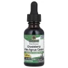 Nature's Answer - Chasteberry Vitex Agnus Castus