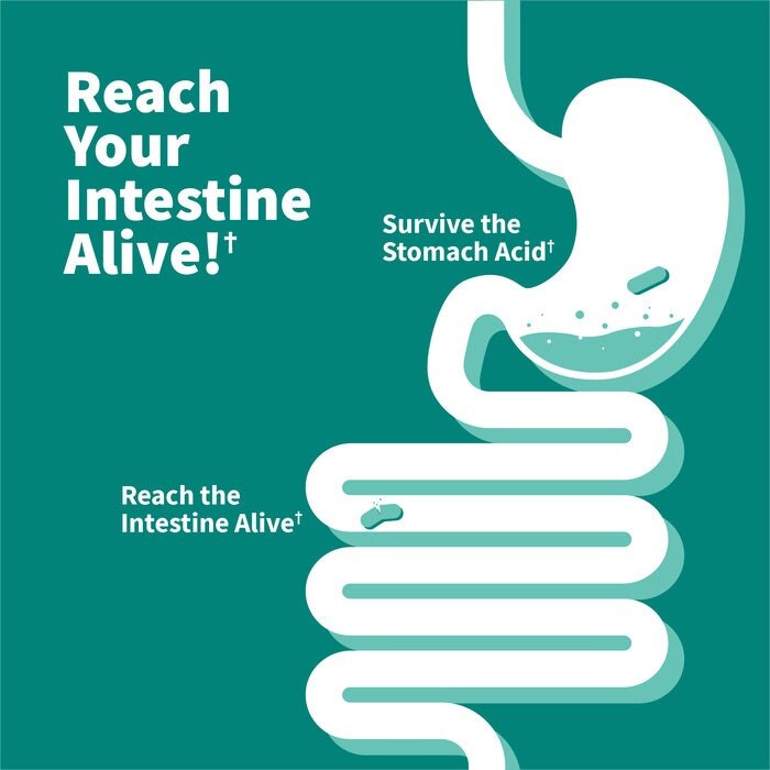 Garden of Life - Probiotyki Formuła Spokoju Dr. Formulated 50 Miliardów, 30 kapsułek - obrazek 6