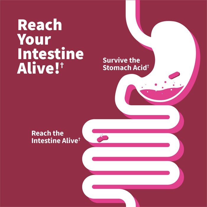 Garden of Life - Probiotyki dla Kobiet Dr. Formulated, pH, 30 kapsułek - obrazek 6