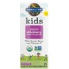 Eco Supplements - Kids Organic Elderberry Immune Syrup 3.9 fl oz (116ml) Liquid
