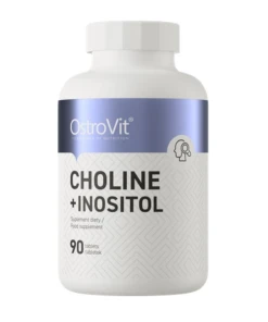 OstroVit - Choline + Inositol - 90 tablets