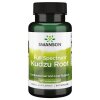 SWANSON Kudzu 500mg 60kaps