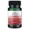 SWANSON L-glutation +  koenzym Q10 30kaps