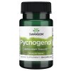 SWANSON Pycnogenol 50mg 50kaps