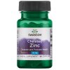 Swansons vitamins - 087614020655