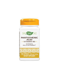 Nature's Way - Vitamin B6 (100 Capsules)