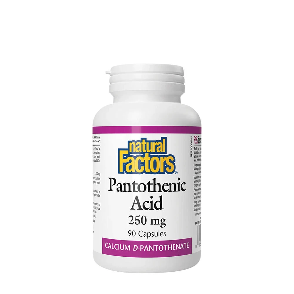 Natural Factors Panthothenic Acid 250 mg (90 Capsules)